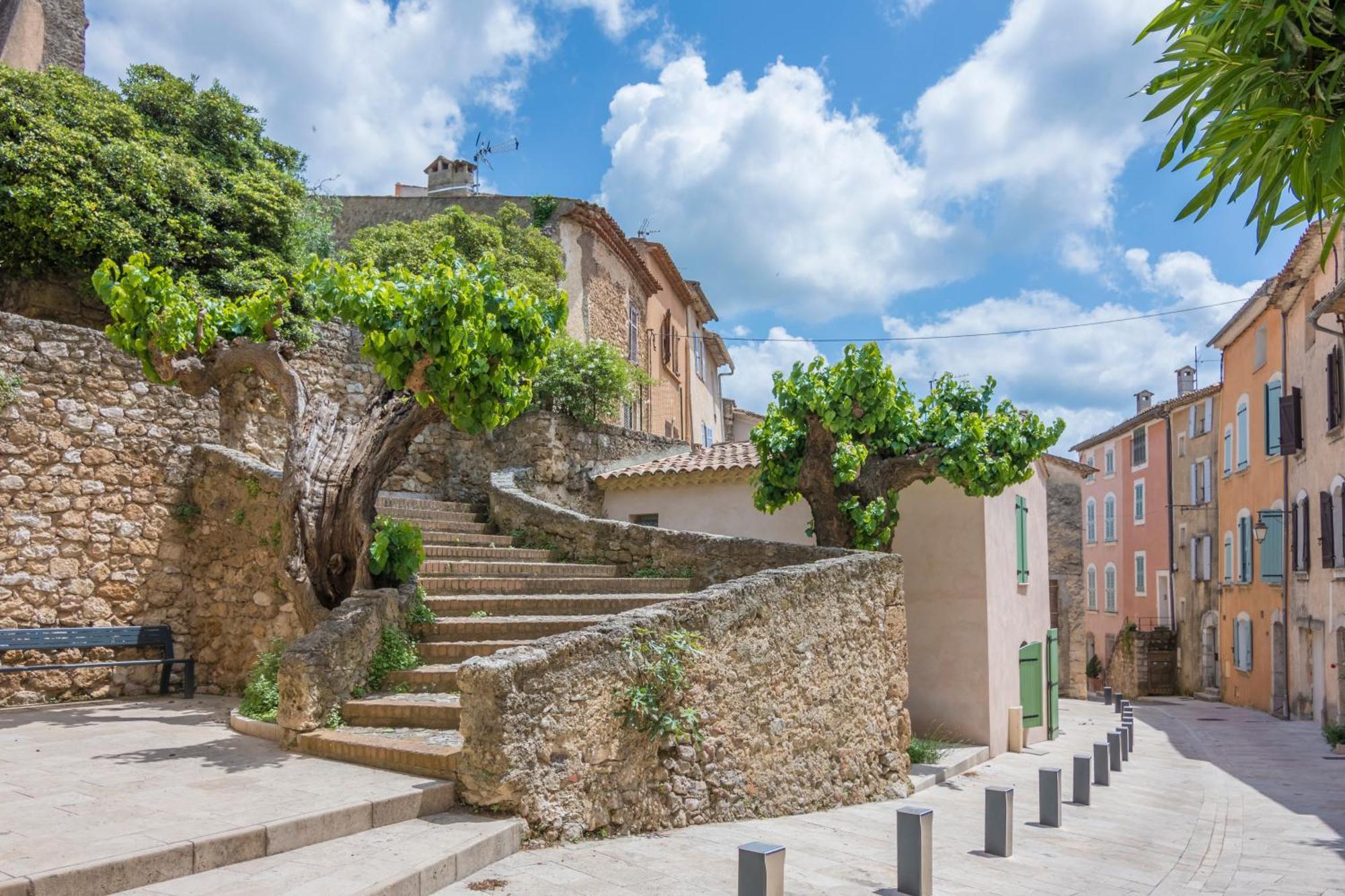Le Petit Villecrozien * Villecroze